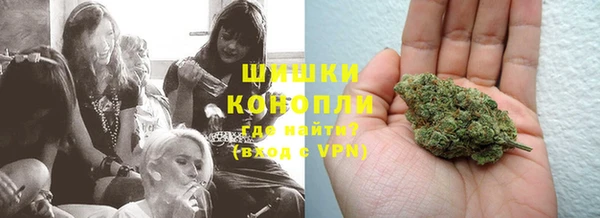 гашик Белокуриха