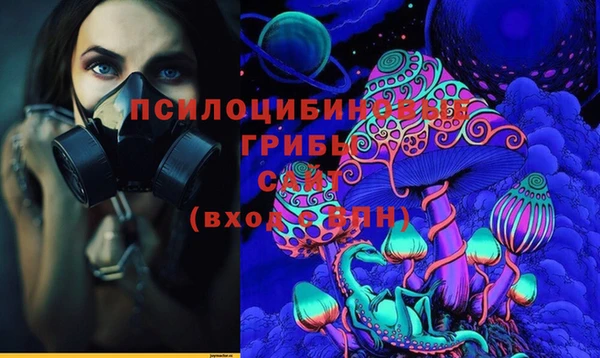 гашик Белокуриха