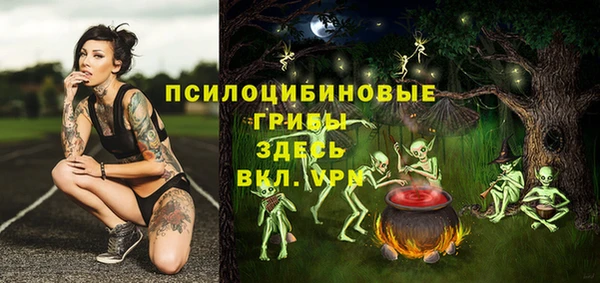 гашик Белокуриха
