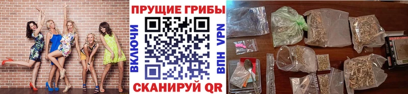 Псилоцибиновые грибы GOLDEN TEACHER  Севск 
