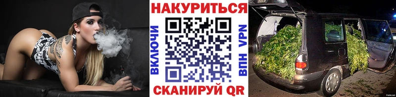Бошки Шишки план Севск